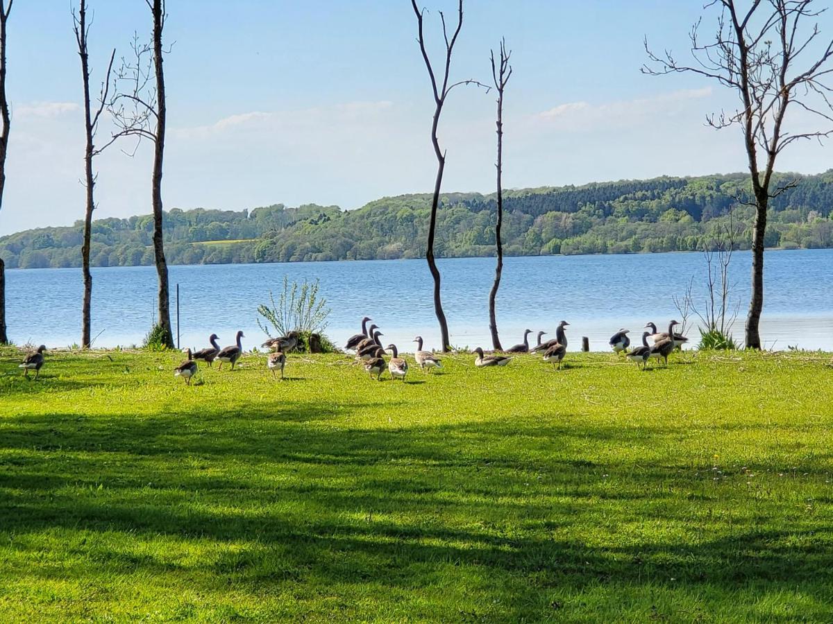Sommerhus Ved Mosso Med Sokig Skanderborg Buitenkant foto